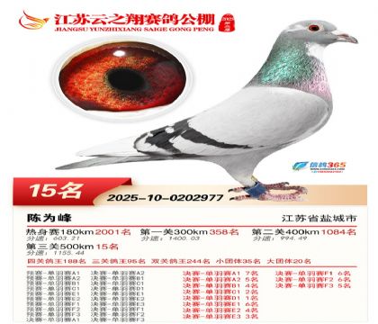 ������֮�����15��