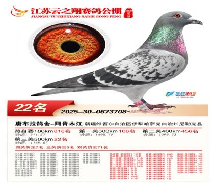 ������֮�����22��