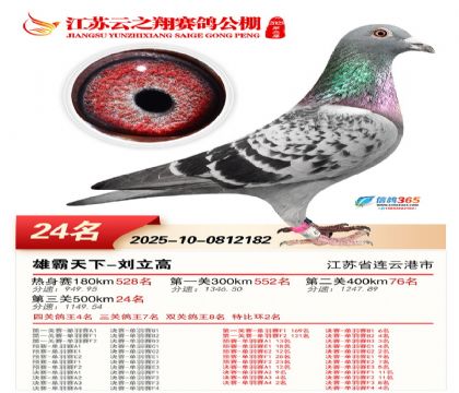 ������֮�����24��