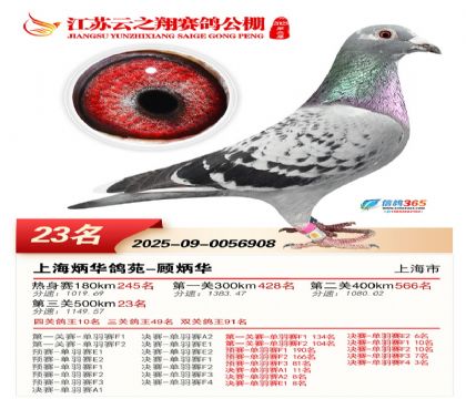 ������֮�����23��