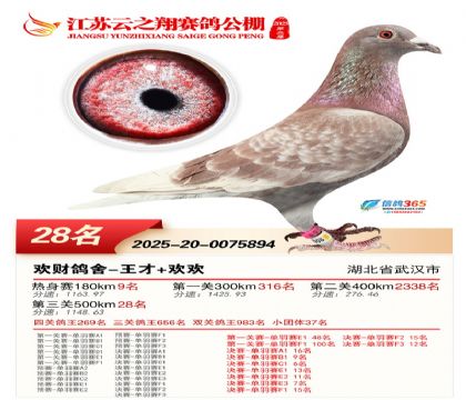 ������֮�����28��