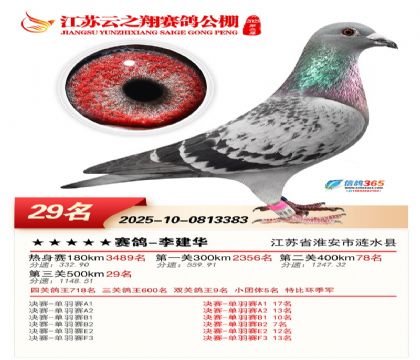 ������֮�����29��