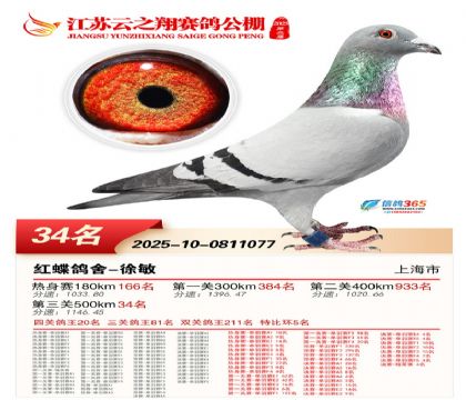 ������֮�����34��