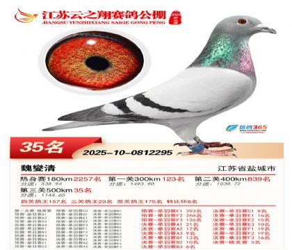 ������֮�����35��