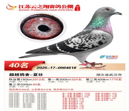 ������֮�����40��