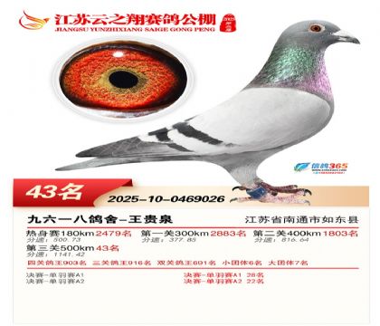 ������֮�����43��