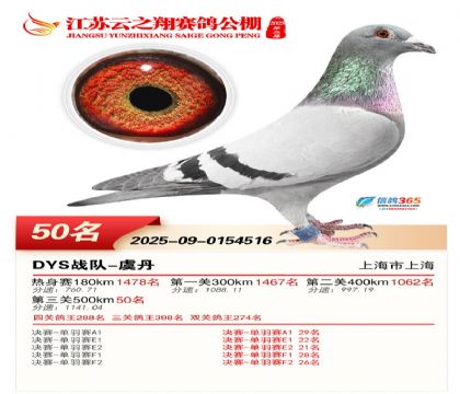 ������֮�����50��