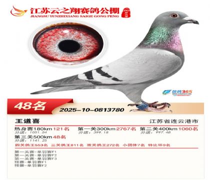 ������֮�����48��