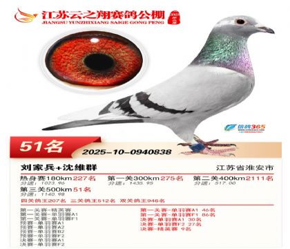 ������֮�����51��