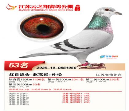 ������֮�����53��