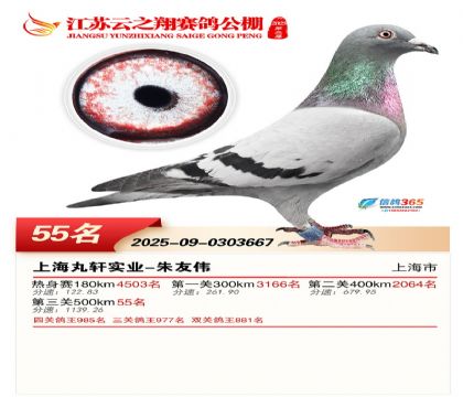 ������֮�����55��