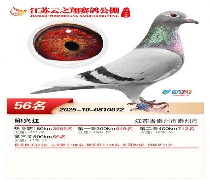 ������֮�����56��