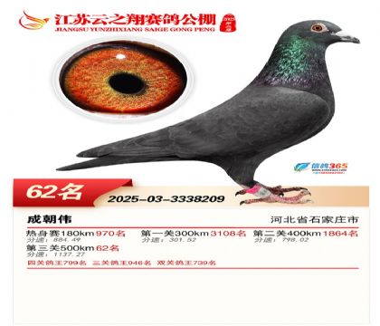 ������֮�����62��