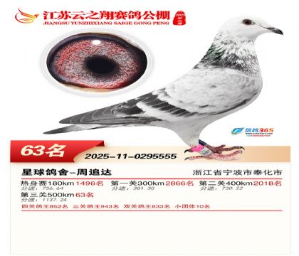 ������֮�����63��