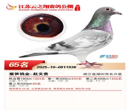 ������֮�����65��