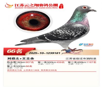 ������֮�����66��