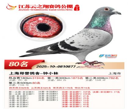 ������֮�����80��