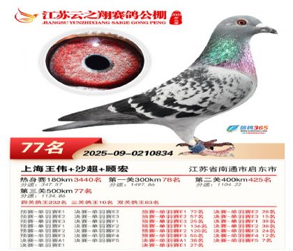 ������֮�����77��