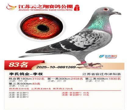 ������֮�����83��