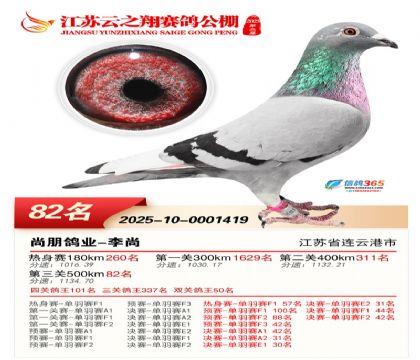 ������֮�����82��