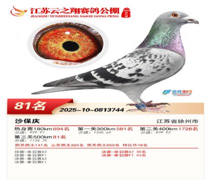 ������֮�����81��