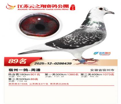 ������֮�����89��