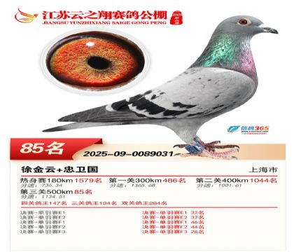 ������֮�����85��