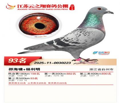 ������֮�����93��