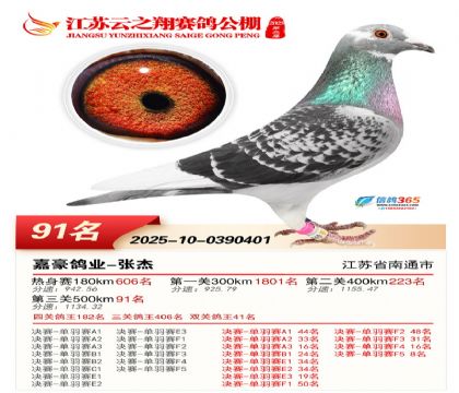 ������֮�����91��