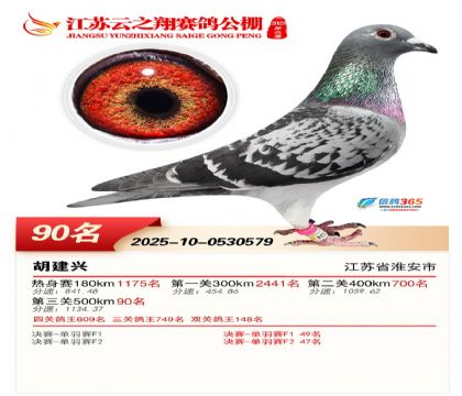 ������֮�����90��