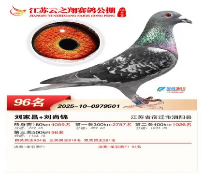 ������֮�����96��