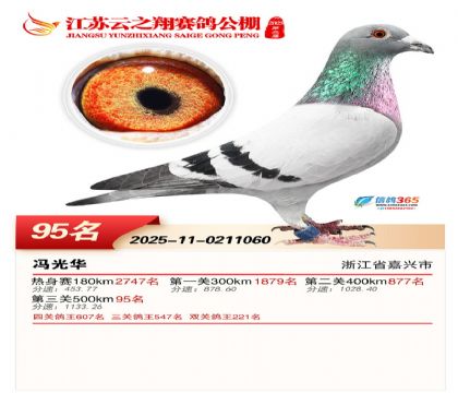 ������֮�����95��