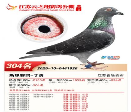 ������֮�����304��