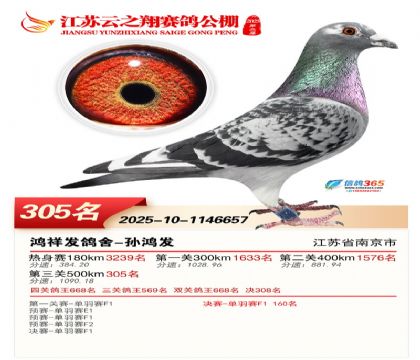 ������֮�����305��