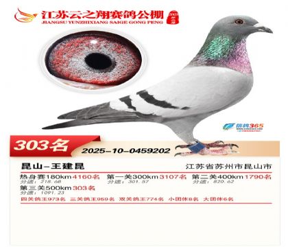 ������֮�����303��