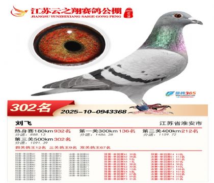 ������֮�����302��