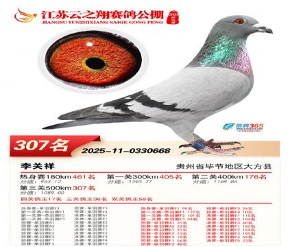 ������֮�����307��