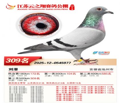 ������֮�����309��