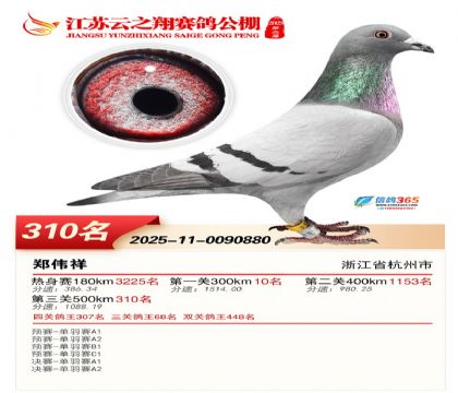 ������֮�����310��