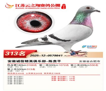 ������֮�����313��