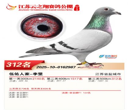 ������֮�����312��