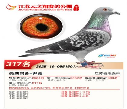 ������֮�����317��