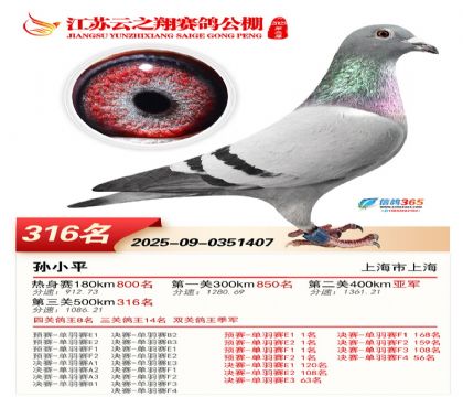 ������֮�����316��