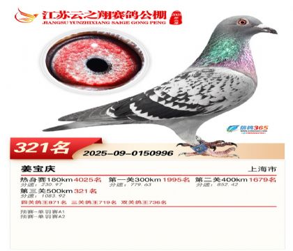 ������֮�����321��