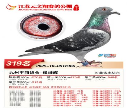 ������֮�����319��