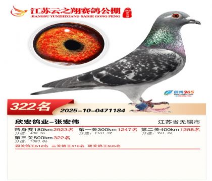 ������֮�����322��