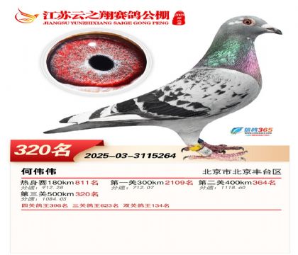 ������֮�����320��