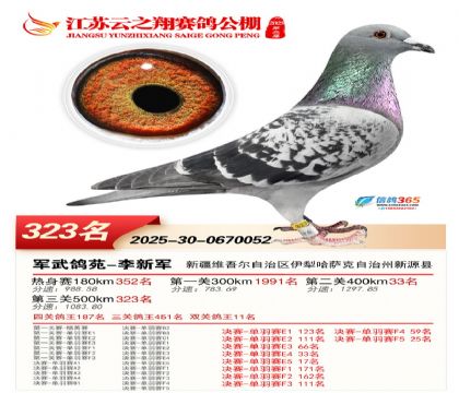 ������֮�����323��