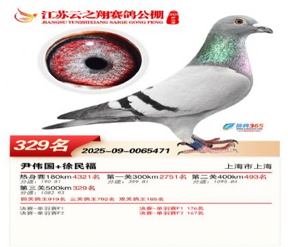 ������֮�����329��