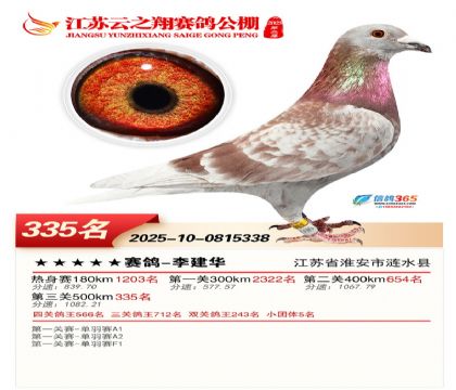 ������֮�����335��